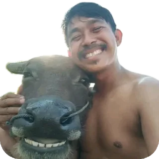 💪 emoji Mr zin dz @mrzin003 Telegram sticker 23 of 72