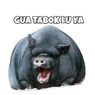 🤣 emoji Aditya Telegram sticker 17 of 28