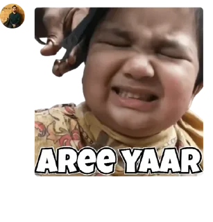 😁 emoji Chauhan Vmro Telegram sticker 12 of 120