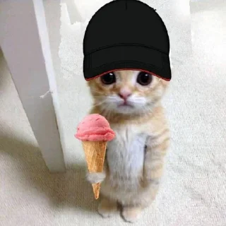 🐱 emoji dudul Telegram sticker 10 of 17