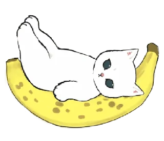 💬 emoji dudul (kitten) @gmoue! Telegram sticker 19 of 39