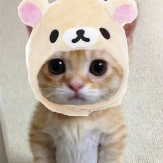 🐈 emoji @ihozu dudul sticker ^__^ Telegram sticker 3 of 81