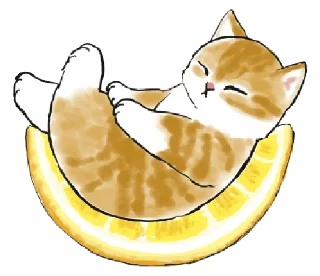 💬 emoji dudul (kitten) @gmoue! Telegram sticker 16 of 39
