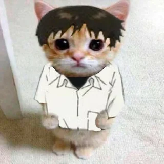 🐱 emoji dudul | @tikeltikelimued Telegram sticker 10 of 19