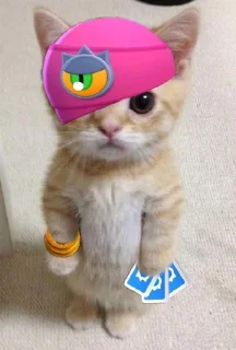 🪄 emoji dudul Telegram sticker 10 of 22