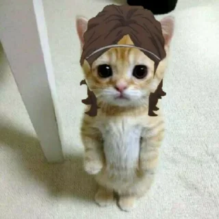 🐱 emoji dudul | @tikeltikelimued Telegram sticker 17 of 19