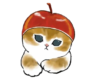 💬 emoji dudul (kitten) @gmoue! Telegram sticker 15 of 39