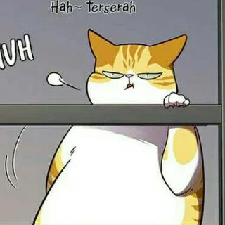 🐱 emoji Kaiden @stiker_webtoon Telegram sticker 10 of 30