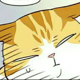 🐱 emoji Kaiden @stiker_webtoon Telegram sticker 14 of 30