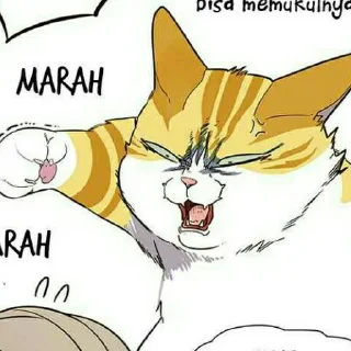 🐱 emoji Kaiden @stiker_webtoon Telegram sticker 20 of 30