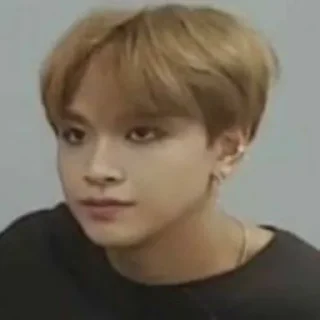 🌚 emoji ⌗ Haechan meme by : @stickernct Telegram sticker 8 of 25