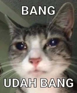 🥺 emoji nining euy Telegram sticker 10 of 14