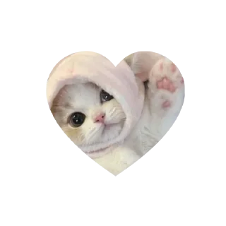 🤩 emoji Join - @Trystickers Telegram sticker 7 of 30