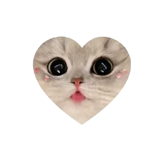 🤩 emoji Join - @Trystickers Telegram sticker 8 of 30