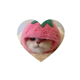 🤩 emoji Join - @Trystickers Telegram sticker 18 of 30