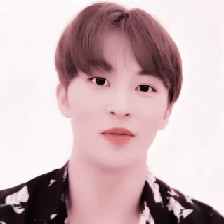 Sticker from +:‧₊ mark lee @stickernct