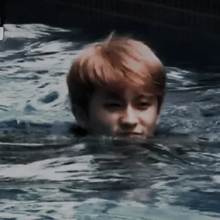 🍉 emoji MARK LEE◌༉‧ | @PERSCPHONE Telegram sticker 23 of 25