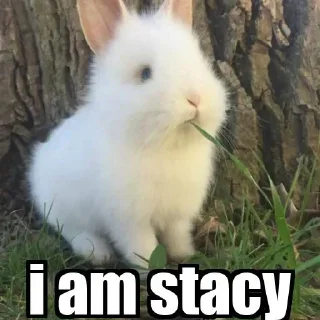 😃 emoji @stacy_531💞💞 (@CalsiBot) Telegram sticker 19 of 56