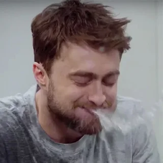 🤣 emoji Memehubtgsl Telegram sticker 21 of 84