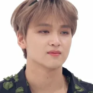 🌻 emoji Ecan/Candra as Haechan @donghyucknct Telegram sticker 10 of 74