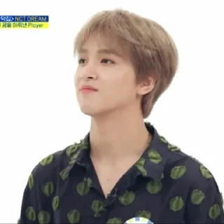 🌻 emoji Ecan/Candra as Haechan @donghyucknct Telegram sticker 12 of 74