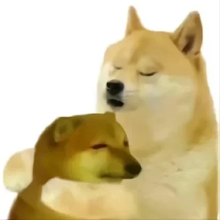 🫂 emoji 瑟瑟修勾专用表情包 Telegram sticker 7 of 69