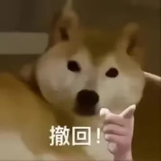 🤫 emoji 瑟瑟修勾专用表情包 Telegram sticker 13 of 69