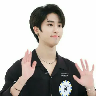 🌱 emoji HAN by @ONEWOO96 Telegram sticker 18 of 30