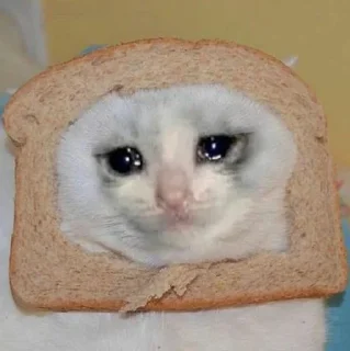 Sticker from Crying Cat @Grup_Anime_Chat