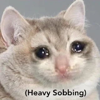 🐾 emoji Crying Cat @Grup_Anime_Chat Telegram sticker 15 of 63