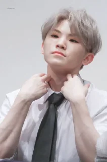 💕 emoji Woozi Telegram sticker 5 of 24