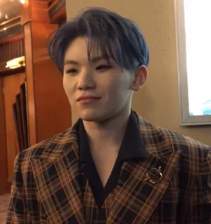 Sticker from WOOZI @SEMPENA