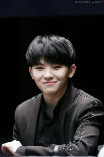 😀 emoji Woozi Telegram sticker 18 of 24