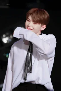 😏 emoji Woozi Telegram sticker 9 of 24