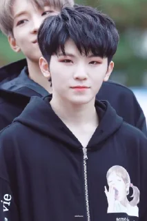 😐 emoji Woozi Telegram sticker 17 of 24