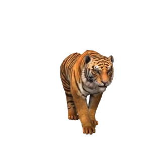 🐯 emoji Freedom @shiny_promos Telegram sticker 9 of 16