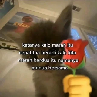 Sticker from Gombal buat doi