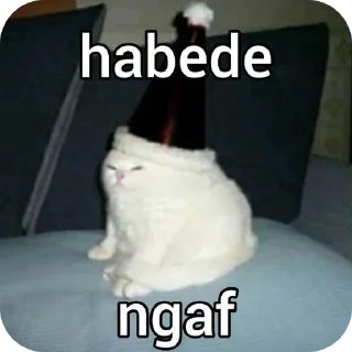 🐱 emoji meme    k   @bebelll4 Telegram sticker 13 of 56