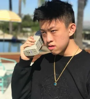 🐱 emoji @smithereenstuff rich brian Telegram sticker 12 of 34