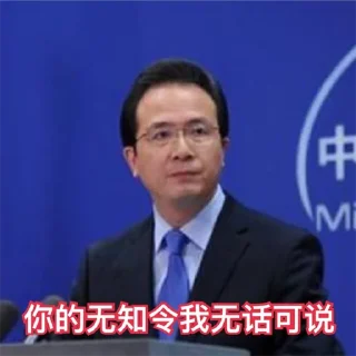 Sticker from 中文表情包 @ZWBQB