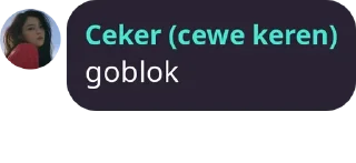 Sticker from si ceker said