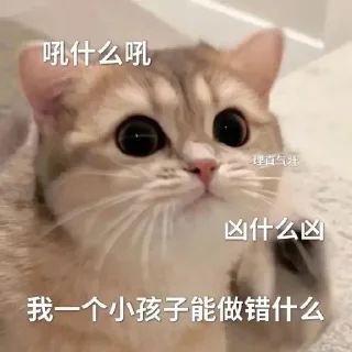 🥺 emoji 做我的哥🪴 @tiezhib Telegram sticker 21 of 120