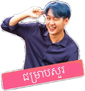 👋 emoji Han's Secret Meme Sticker Telegram sticker 10 of 88