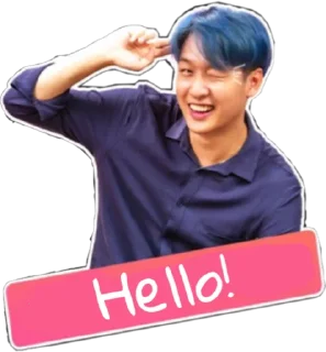 👋 emoji Han's Secret Meme Sticker Telegram sticker 9 of 88