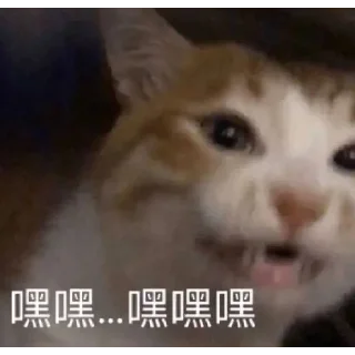 🐱 emoji 呱哇子🐸 @HRfrog Telegram sticker 19 of 89