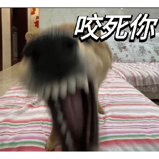 😡 emoji 老登表情包 Telegram sticker 7 of 17
