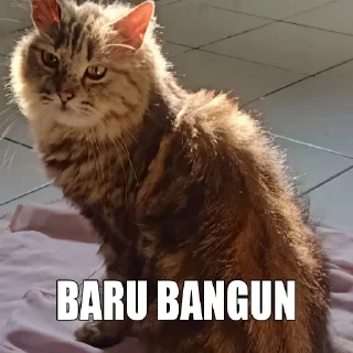 😶 emoji si cantik tak tertandingi Telegram sticker 15 of 16