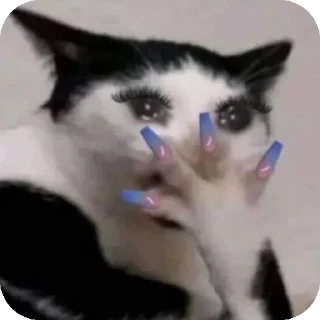 Sticker from Kittu (mussu)