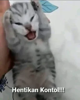 😾 emoji MemeFB Part Ke 2 Telegram sticker 24 of 120