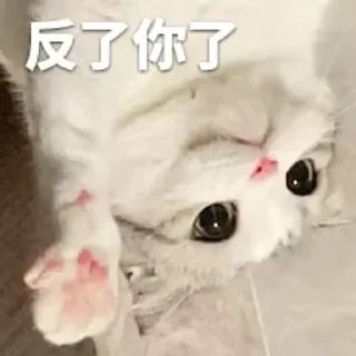 😕 emoji 自来也自用 Telegram sticker 9 of 12